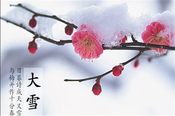 江蘇噴塑設備廠家｜大雪時節(jié),雪落歸家